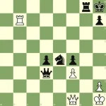 puzzle1.webp