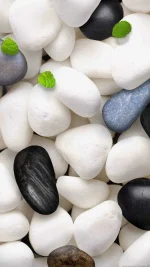 rocks.webp