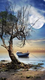 moon_sea_boat_tree.webp