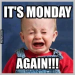funny-monday-pictures-9.webp