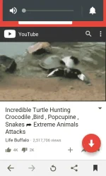 Screenshot_2017-11-09-22-20-50.webp