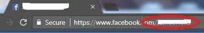 2.webp