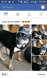 Screenshot_2017-11-13-14-29-35.webp
