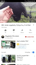 Screenshot_20171113-155729.webp