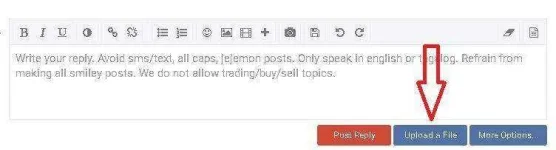 rich text editor.webp