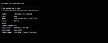 Capture.webp
