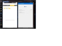 Bug 2.webp