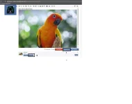 sample.webp