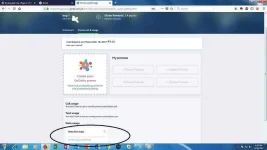 bug 1.webp