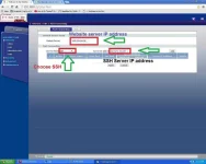 5.webp