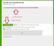 4.webp