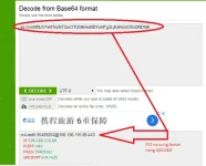 5.webp