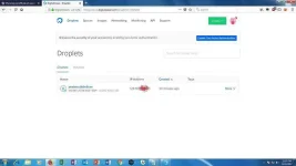 1.webp 1.webp