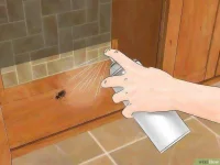 v4-760px-Kill-Household-Bugs-Step-5-Version-2.webp