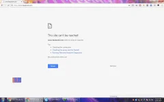 Untitled.webp