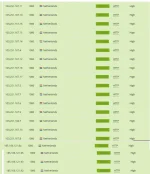 remoteproxy2.webp