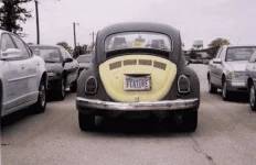 bug_feature.webp