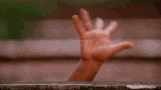 10368861.gif