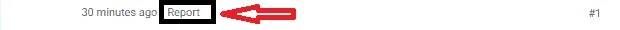 report.webp