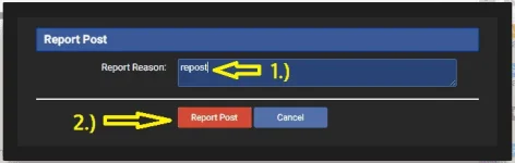 report 2.webp