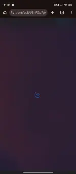 1000065353.webp