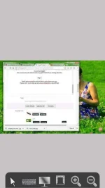 5.webp