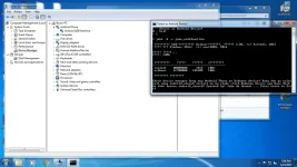 5.webp