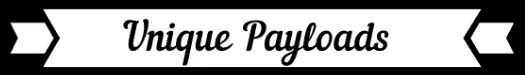 uniquepayloads.webp uniquepayloads.webp