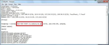 3.webp