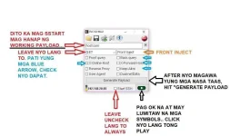 5.webp