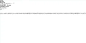 4.webp