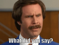 what did you say.gif
