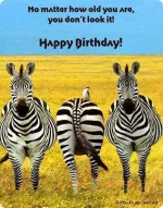 funny-birthday-card-for-friend.webp funny-birthday-card-for-friend.webp