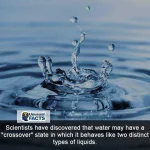 InstaSave.webp