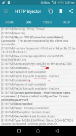 26913680_575522369455717_1210311763_n.webp