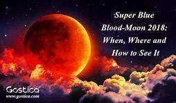 moon.webp