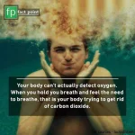 InstaSave.webp