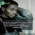 InstaSave.webp