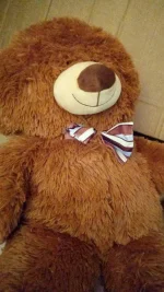 20171220_082236.webp