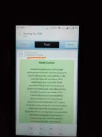 15169024482901107196849.webp