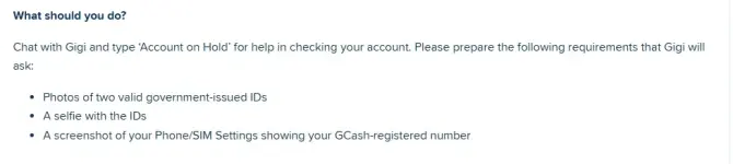 gcashonhold.webp