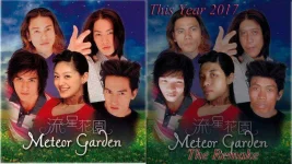 METEOR GARDEN.webp