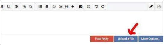 attached image.webp