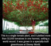 IMG_20180130_220902.webp