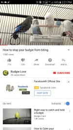 Screenshot_20180131-142108.webp
