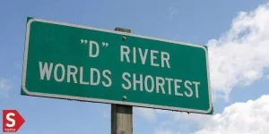 D-river-oregon.webp