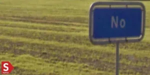 No-Denmark.webp