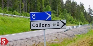 Ö-Sweden.webp
