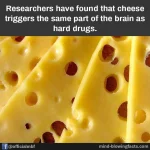 27458873_1588935751204006_878607144837470482_n.webp