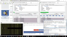 palong-palo.webp